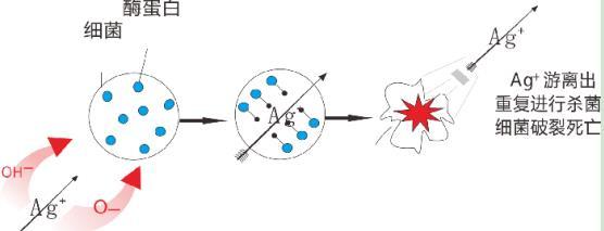 龍勝三層納米抗菌水管有效嗎？配圖解原理，99.99%抗菌率不是蓋的！