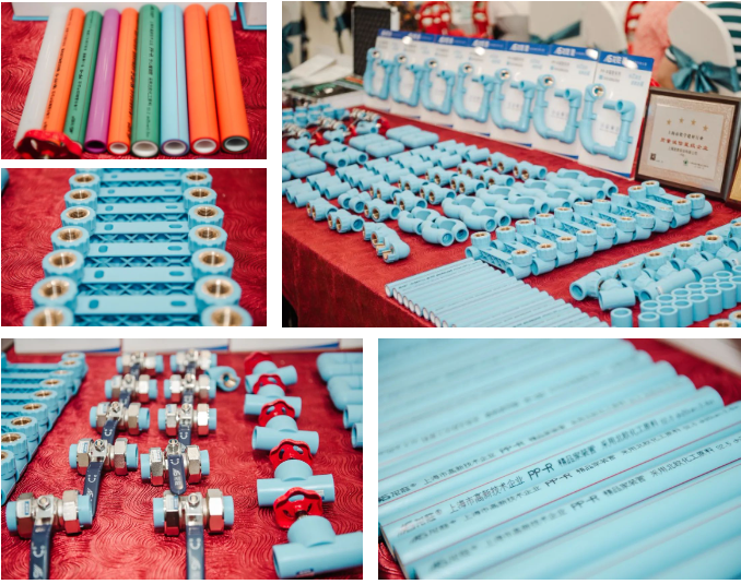 龍勝品牌力量 | 舒心家攜手龍勝管新品發布會成功舉辦!